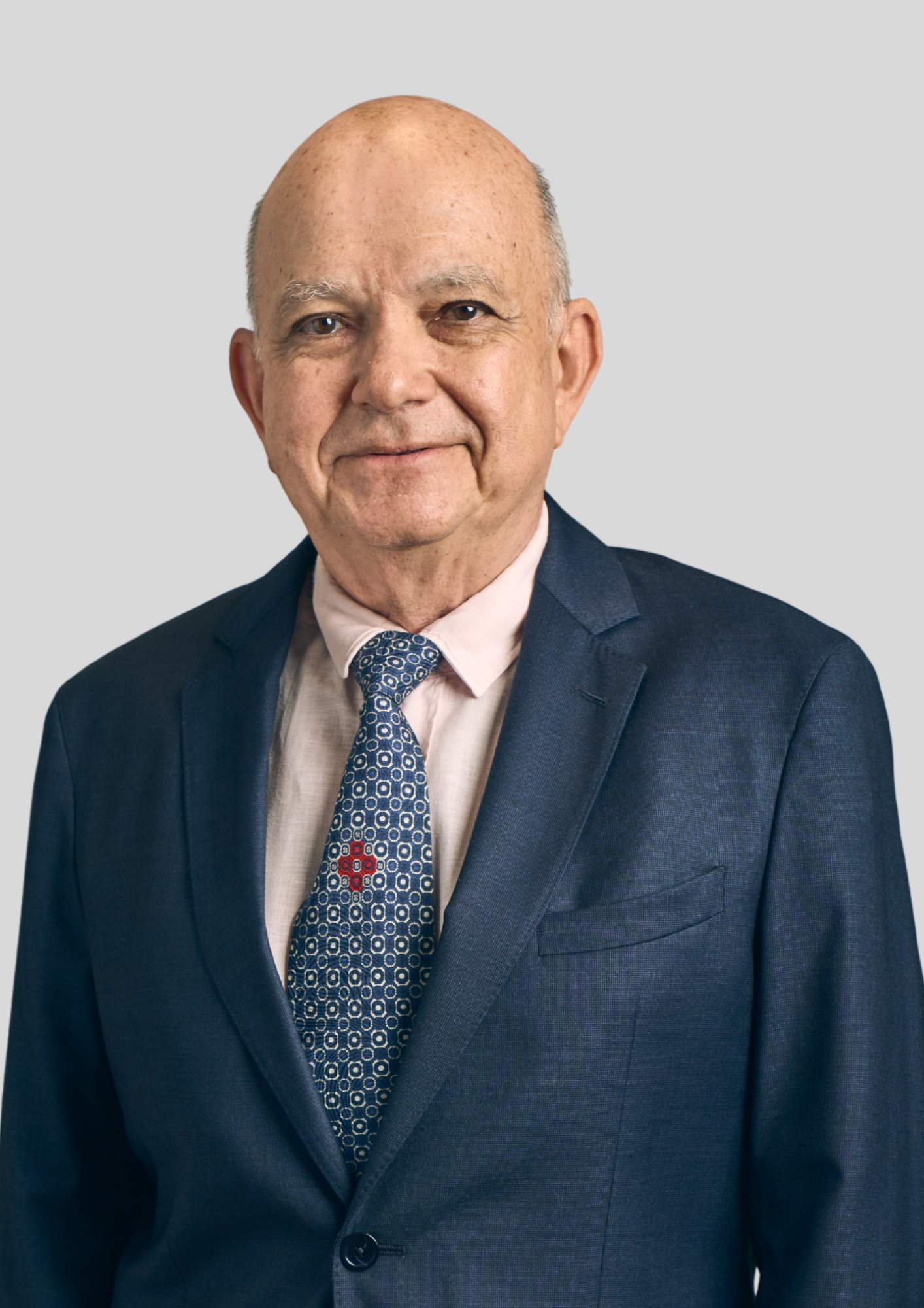 Fernando L. Gaspar